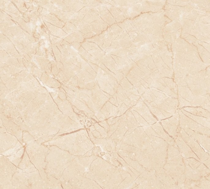 Burberry - Beige Color