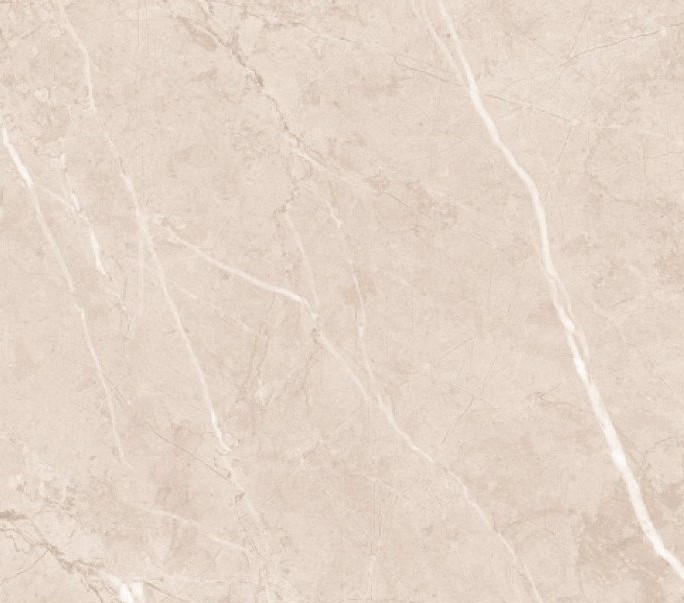 Cardoso - Beige Color