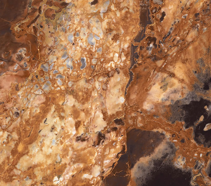 Bidasar Beauty - Color