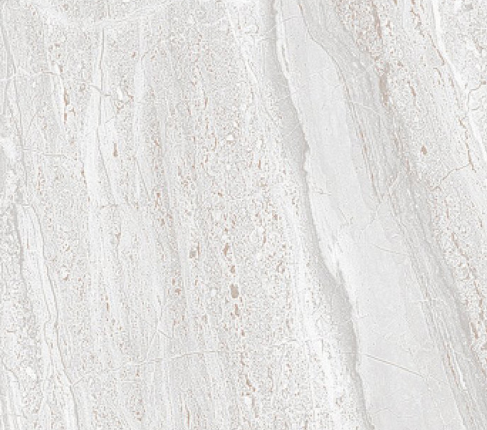 Elegant - Grey Color