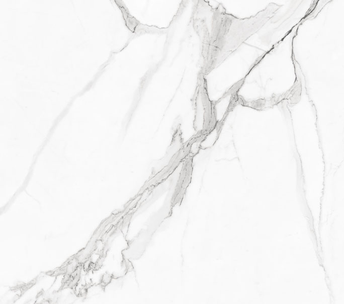 Elite Satuario -Color