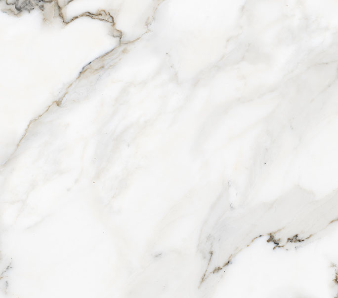 Royal Satuario - Color