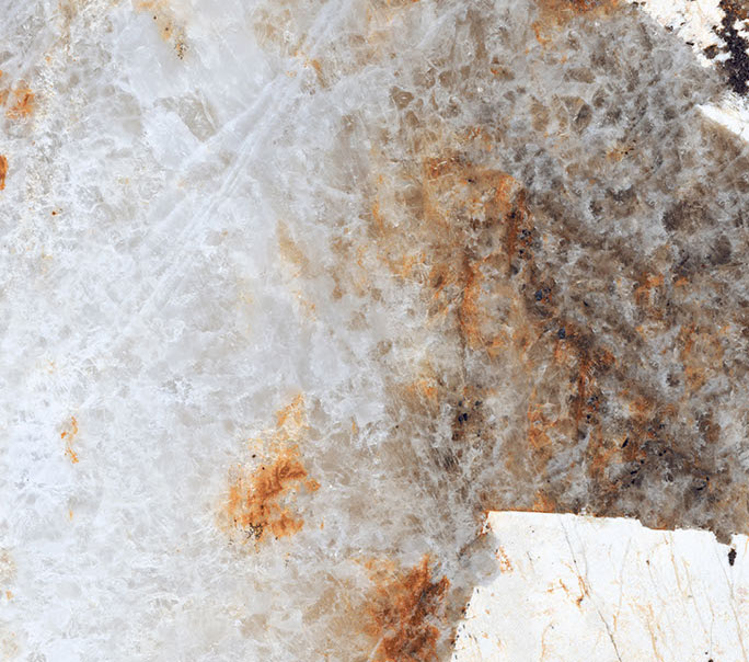 Ruivina Tiger - Color